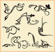 Exquisite Scroll Ornamental Designs Exquisite Scroll Ornamental Designs