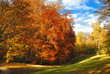 Herbststimmung im Wald