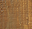 Droplets on wood