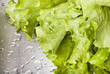 Lettuce