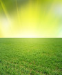 summer landscape