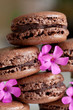 macarons