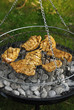 Garden chicken barbeque
