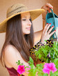 arroser les fleurs
