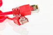 Netzwerk Kabel eines Computers