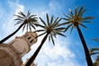 Spanien, Andalusien, Cadiz Spanien, Andalusien, Cadiz