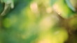 Focusing on dogwood leaves