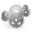 Gear wheels - dynamic side view