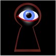 spy