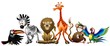 Animali Selvaggi Cartoon Banner-Wild Animals Background-Vector