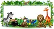 Animali Selvaggi Cartoon Giungla-Wild Animals Background-2