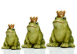 Frosch