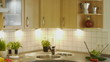 HD1080p25 Attractive woman cooking in the kitchen