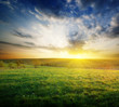 spring field of grass in Russia and sunset spring field of grass in Russia and sunset