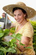 Junge Frau beim Blumengießen