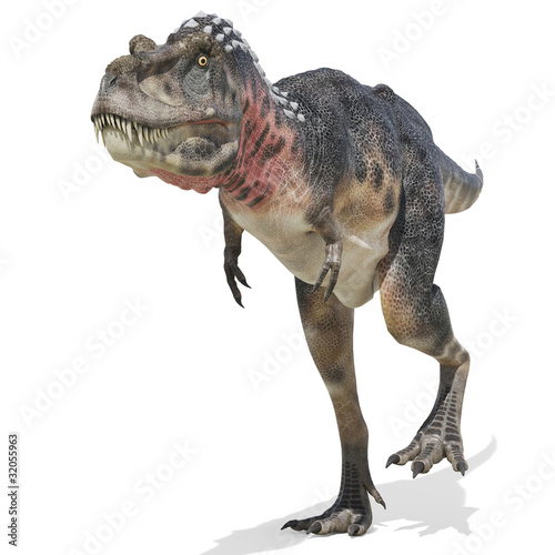Illustration: tarbosaurus walking tarbosaurus walking