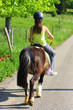 Randonnée à cheval