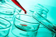 Photo: Petri-dish Petri-dish