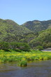 Photo: 田舎の風景 田舎の風景