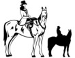 beautiful horsewoman vector illustration