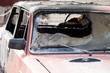 Fire burnt car vehicle