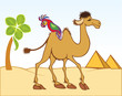 cartoon camel and parrot in front of pyramids cartoon camel and parrot in front of pyramids