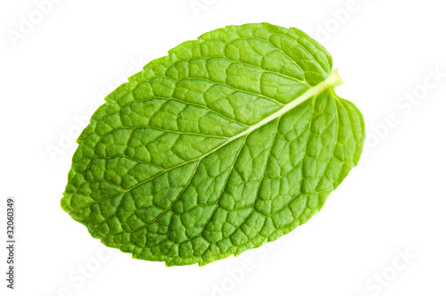 Photo: Mint leaf Mint leaf