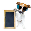 HUND mit TAFEL