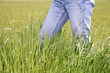 Jeans Walker