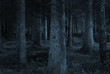 blue forest