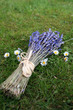 lavender bouquet