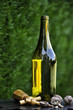 Vin du Jura Vin du Jura