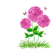 Blumenhintergrund