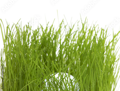 Photo: Golfball in grass Golfball in grass