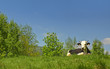VACHE AU REPOS