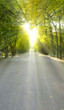 Sunlight