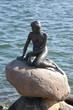 Die kleine Meerjungfrau