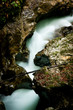 River heart
