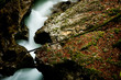 The heart of nature