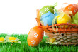 color easter eggs in basket isolated on white