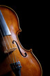 violin on black