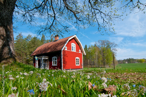 Foto: Schweden Schweden