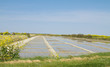 marais salant