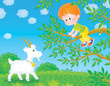Little boy saves oneself from a goat on a tree branch
