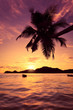 Seychelles couché de soleil
