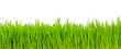 green grass