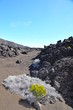 Volcan