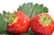 Frisches Obst Frisches Obst
