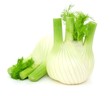 Foto: Fenchel Fenchel