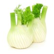 Fenchel, Knolle